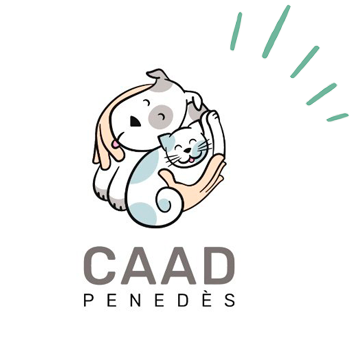 Logo colaborador CAAD penedes