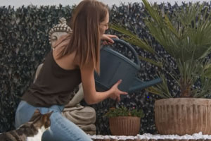 Watering Plants Using a Watering Can