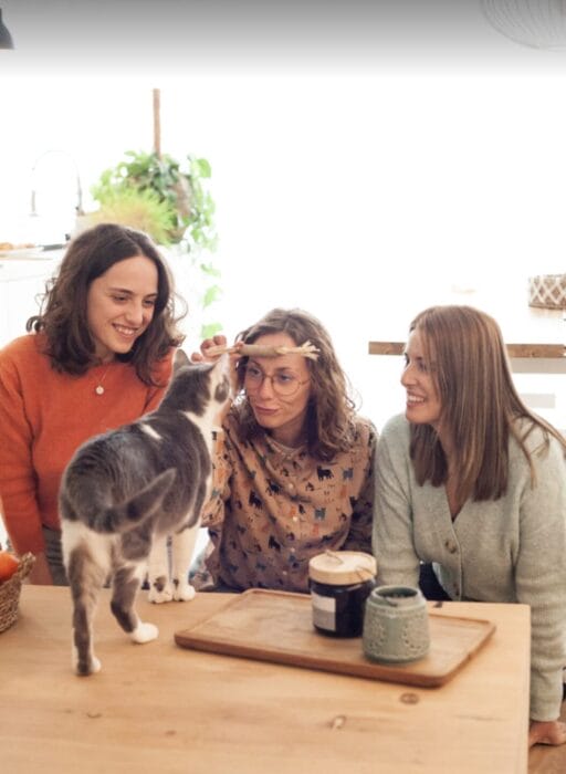 michinanny-cuidado-de-gatos-a-domicilio Tres cuidadoras de gatos se sientan alrededor de una mesa de madera, sonriendo e interactuando con un gato gris y blanco. Una catsitter en el centro acaricia suavemente la cabeza del gato con una ramita. El escenario es una cocina luminosa y acogedora con plantas y tazas sobre la mesa.